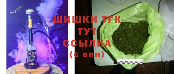 эйфоретик Михайлов