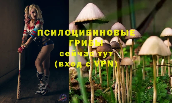бутик Абаза