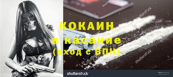 ECSTASY Алзамай
