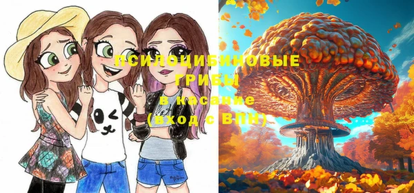 PSILOCYBIN Абинск